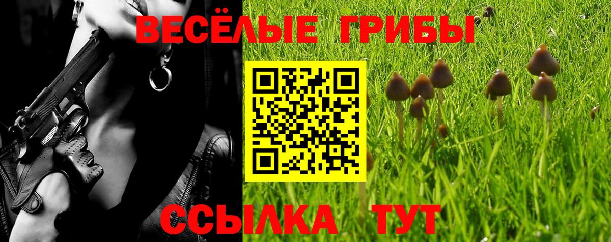 Галлюциногенные грибы MAGIC MUSHROOMS  продажа наркотиков  Кашира  Вход с VPN  Галлюциногенные грибы GOLDEN TEACHER 